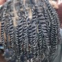 Two strand Twist