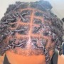 Loc retwist and Style- Traditional locs