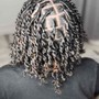 Starter Locs Small