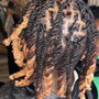 Loc Maintenance -Short Locs