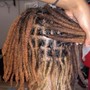 Loc Maintenance -Short Locs