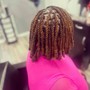 Starter Locs