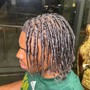 Starter Locs