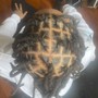 Invisible locs/twist over locs