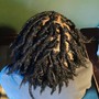 Comb Twist or Starter Dreads