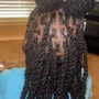 Kids natural hair Braids