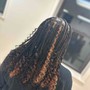 Jumbo Senegalese Twist