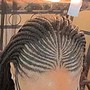 Small feedin braids to the back