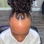 2 strand full head