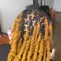 Two Strand twist