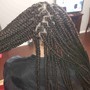 Box Braids