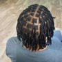 Two Strand Twist