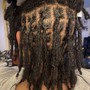 Starter Dreadlocks(inter-lock)