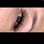 Volume Eyelash Full Set