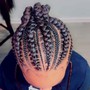 Tree Braids