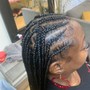 Adult braided ponytail (8-10 braids)