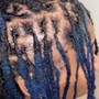 Starter Locs