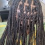 Box Braids/ knotless half head