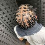 Medium Sized Starter Locs