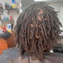 Starter Locs (palm roll and two strand)