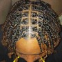 Adult Starter locs