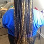 2 feed-in braids