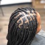 Feed-In Braids(Mid-Back) 6 Braid Max