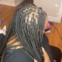 2 feed-in braids