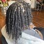 Starter Locs (interlock)