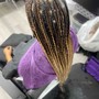 Knotless/Box Braids (Mid Back Lenth) Medium