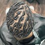 Starter Locs