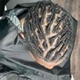 Starter Locs