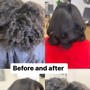 Deep Conditioning Treatment