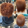 Root Touch Up