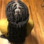 Starter Locs