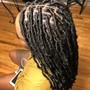 Starter Locs