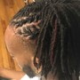 Starter Locs