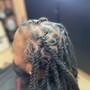 Root Touch Up