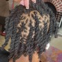 Starter Locs