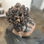 Loc Maintenance  includes Basic Retwist