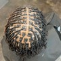 Kinky Twist Traditional size