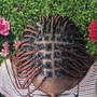 Tree Braids