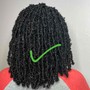 Natural Coils ( short to medium length)