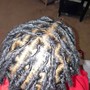 Starter locs