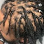 Starter locs