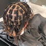 Starter Locs