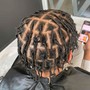 Starter Locs