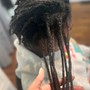 Loc Extensions Install