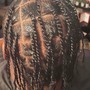 Retwist- Large Two Strand Twist