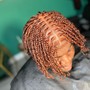 Medium/large  Starter locs two strand twist/coils